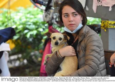 September 25, 2017 - Mexico City, Mexico, Mexico - Volunteers provide veterinary services at temporary shelters for pets that survived at the Earthquake of September 19 on September 25, 2017 in Mexico City, Mexico Mexico City Mexico  - ZUMAn230 20170925_zaa_n230_540 Copyright: xCarlosxTischlerx