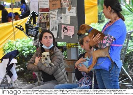 September 25, 2017 - Mexico City, Mexico, Mexico - Volunteers provide veterinary services at temporary shelters for pets that survived at the Earthquake of September 19 on September 25, 2017 in Mexico City, Mexico Mexico City Mexico  - ZUMAn230 20170925_zaa_n230_542 Copyright: xCarlosxTischlerx