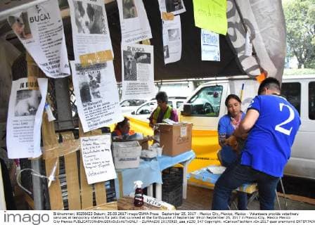 September 25, 2017 - Mexico City, Mexico, Mexico - Volunteers provide veterinary services at temporary shelters for pets that survived at the Earthquake of September 19 on September 25, 2017 in Mexico City, Mexico Mexico City Mexico  - ZUMAn230 20170925_zaa_n230_547 Copyright: xCarlosxTischlerx