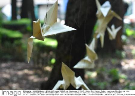 September 27, 2017 - Mexico City, Mexico, Mexico - neighbors of the Condesa made a floral offering to write good wishes and thoughts in memory to all the victims who died in the earthquake of September 19 on September 27, 2017 in Mexico City, Mexico Mexico City Mexico  - ZUMAn230 20170927_zaa_n230_962 Copyright: xCarlosxTischlerx