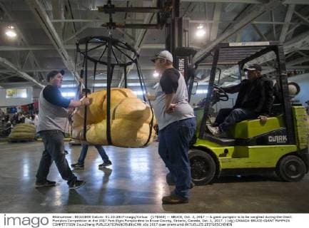 (171002) -- BRUCE, Oct. 2, 2017 -- A giant pumpkin is to be weighed during the Giant Pumpkin Competition at the 2017 Port Elgin Pumpkinfest in Bruce County, Ontario, Canada, Oct. 1, 2017. ) (djj) CANADA-BRUCE-GIANT PUMPKIN COMPETITION ZouxZheng 