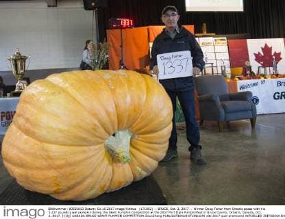 (171002) -- BRUCE, Oct. 2, 2017 -- Winner Doug Fisher from Ontario poses with his 1,337 pounds giant pumpkin during the Giant Pumpkin Competition at the 2017 Port Elgin Pumpkinfest in Bruce County, Ontario, Canada, Oct. 1, 2017. ) (djj) CANADA-BRUCE-GIANT PUMPKIN COMPETITION ZouxZheng 
