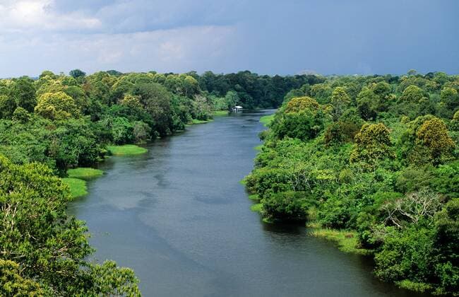 IMAGO Nature: Unsere Erde, Umweltverträgliche Herausforderungen, Regenwald Amazonas State Brazil Tributary of the Rio Negro one of the confluents of the Amazon with caboclo house in the distance  Copyright: xSuexCunningham SCP 1004457.tif