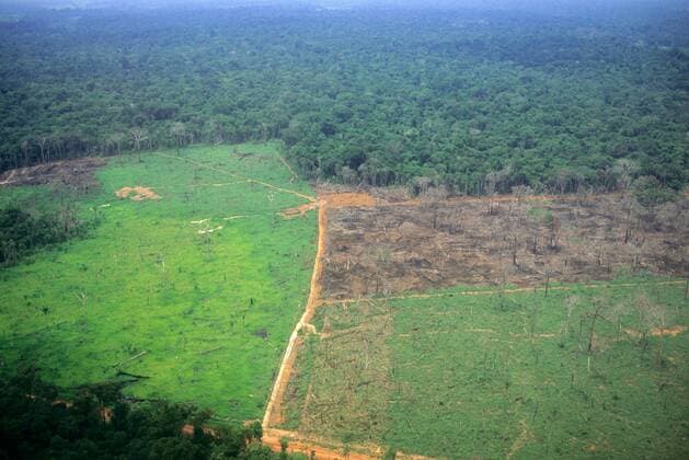IMAGO Nature: Unsere Erde, Umweltverträgliche Herausforderungen, Regenwald Amazon Brazil Aerial view of partly deforested land showing established grassland newly burned land and rainforest  Copyright: xSuexCunningham SCP 1017102.tif