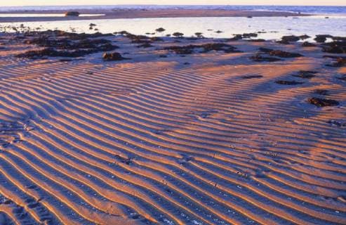Sandriffelwatt bei Niedrigwasser bei Sonnenuntergang, Deutschland wadden sea at low tide at sunset, Germany BLWS464190 Copyright: xblickwinkel F.xHeckerx
