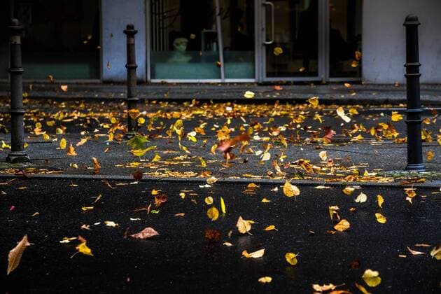 IMAGO Nature: Unsere Erde, Ressourcen, Wind Sturmtief in der deutschen Hauptstadt Sturm in Berlin *** Sturm low in the German Capital Storm in Berlin