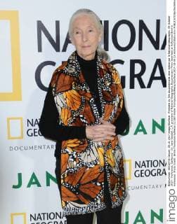 Premiere du film documentaire Jane realise par le National Geographic. 09 October 2017 - Hollywood, California - Dr. Jane Goodall. L.A. premiere of National Geographic Documentary Films Jane held at Hollywood Bowl in Hollywood. Photo Credit: Birdie Thompson AdMedia 221387 Birdie Thompson AdMedia Starface 2017-10-09 CA Hollywood Etats-Unis  Copyright: xBirdiexThompson AdMediax STAR_221387_009