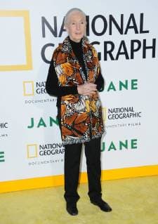 IMAGO ICONS: Jane Goodall Premiere du film documentaire Jane realise par le National Geographic. 09 October 2017 - Hollywood, California - Dr. Jane Goodall. L.A. premiere of National Geographic Documentary Films Jane held at Hollywood Bowl in Hollywood. Photo Credit: Birdie Thompson AdMedia 221387 Birdie Thompson AdMedia Starface 2017-10-09 CA Hollywood Etats-Unis  Copyright: xBirdiexThompson AdMediax STAR_221387_010