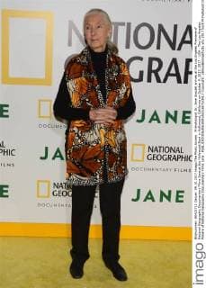Primatologist Dr. Jane Goodall arrives at the Los Angeles Premiere of National Geographic Documentary Films Jane at the Hollywood Bowl in Hollywood, California on October 9, 2017. 2017 - USA - The Los Angeles Preiere of National Geographic Documentary Films Jane .  Copyright: xBillyxBennightxIIx