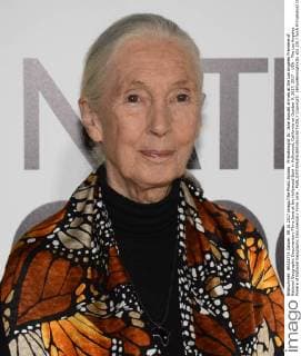 Primatologist Dr. Jane Goodall arrives at the Los Angeles Premiere of National Geographic Documentary Films Jane at the Hollywood Bowl in Hollywood, California on October 9, 2017. 2017 - USA - The Los Angeles Preiere of National Geographic Documentary Films Jane .  Copyright: xBillyxBennightxIIx