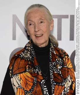 Primatologist Dr. Jane Goodall arrives at the Los Angeles Premiere of National Geographic Documentary Films Jane at the Hollywood Bowl in Hollywood, California on October 9, 2017. 2017 - USA - The Los Angeles Preiere of National Geographic Documentary Films Jane .  Copyright: xBillyxBennightxIIx