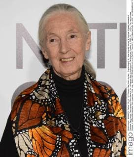 Primatologist Dr. Jane Goodall arrives at the Los Angeles Premiere of National Geographic Documentary Films Jane at the Hollywood Bowl in Hollywood, California on October 9, 2017. 2017 - USA - The Los Angeles Preiere of National Geographic Documentary Films Jane .  Copyright: xBillyxBennightxIIx