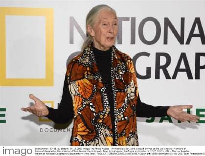 Primatologist Dr. Jane Goodall arrives at the Los Angeles Premiere of National Geographic Documentary Films Jane at the Hollywood Bowl in Hollywood, California on October 9, 2017. 2017 - USA - The Los Angeles Preiere of National Geographic Documentary Films Jane .  Copyright: xBillyxBennightxIIx