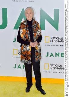 Jane Goodall at the Jane National Geographic Documentary Film Premiere at 9 10 2017 in Los Angeles Jane Film premiere in Los Angeles 2017