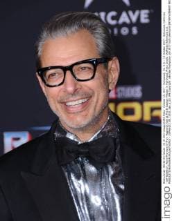 October 10, 2017 - Hollywood, CA, U.S. - 10 October 2017 - Hollywood, California - Jeff Goldblum. World Premiere of Thor: Ragnarok held at The El Capitan Theater in Hollywood. Photo Credit: AdMedia Hollywood U.S. - ZUMAa123 20171010_zaa_a123_096 Copyright: xBirdiexThompsonx