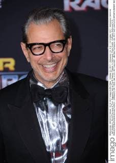October 10, 2017 - Hollywood, CA, U.S. - 10 October 2017 - Hollywood, California - Jeff Goldblum. World Premiere of Thor: Ragnarok held at The El Capitan Theater in Hollywood. Photo Credit: AdMedia Hollywood U.S. - ZUMAa123 20171010_zaa_a123_087 Copyright: xBirdiexThompsonx