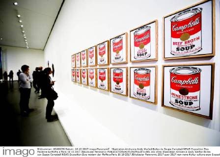 Illustration Ambiance Andy Warhol Boites de Soupe Campbell NEWS Exposition Etre Moderne Le MoMa a Paris 16 10 2017 JBAutissier Panoramic 
