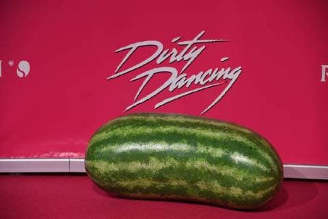 a Melon is on the Red Carpet at 26 10 2017 in Cologne to German premiere the Musical Dirty Dancing