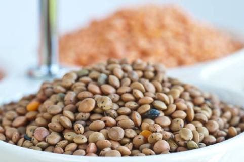 IMAGO Nature: Unsere Erde, Klimawandel, Ernährung, Pflanzen der Zukunft, Linse Lentils *** lentils  1093501871