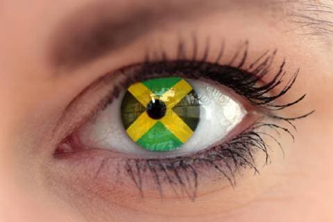 Symbol image to the Exploratory talks to a Jamaica Coalition out the Parties CDU CSU Alliance 90 the Greens and the Free Democratic Party FDP after the Federal election 2017 Jamaica Flag in Eye a Woman