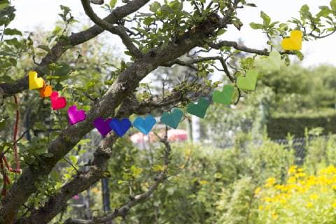 Heart shaped garland made of paper hanging in garden  CMF00706