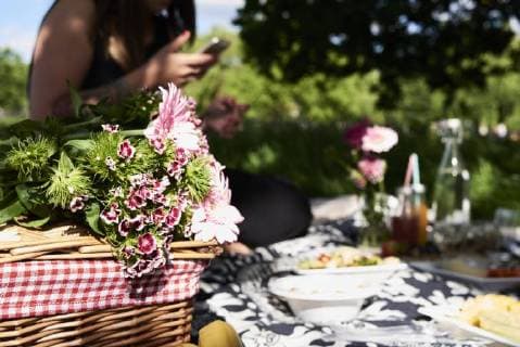 IMAGO Creative: Jahreszeit Frühling, Picknick Healthy picnic in a park in summer model released Symbolfoto  IGGF00029