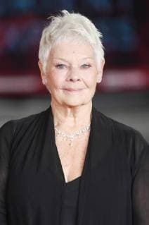 British actress Judi Dench attends the world premiere of Murder On The Orient Express at Royal Albert Hall in London on November 2, 2017.  LON20171102120 RUNExHELLESTAD
