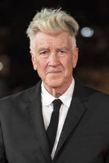 David Lynch at the Arrival to award Ceremony the Lifetime Achievement Awards on the 12 International Film Festival from Rome FESTA Del Cinema Tue Roma 2017 in Auditorium Parco della Musica Rome 04 11 2017 Foto:xDaziramx xFuturexImage