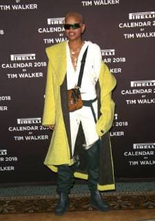 November 10, 2017 - New York, N.Y, USA - SLICK WOODS attends the Pirelli 2018 Calendar by Tim Walker Event and Press Conference.The Pierre Hotel, NYC.November 10, 2017.Photos by , Globe Photos Inc. New York USA - ZUMAms4_ 20171110_zaa_ms4_028 Copyright: xSoniaxMoskowitzx
