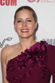 BEVERLY HILLS CA NOVEMBER 10 Amy Adams at American CinemathequeÕs 2017 Award Show honoring Amy Adams at The Beverly Hilton Hotel in Beverly Hills California on November 10 2017 Copyright: xFayexSadoux