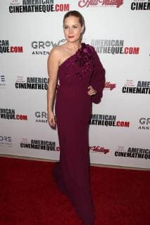BEVERLY HILLS CA NOVEMBER 10 Amy Adams at American CinemathequeÕs 2017 Award Show honoring Amy Adams at The Beverly Hilton Hotel in Beverly Hills California on November 10 2017 Copyright: xFayexSadoux