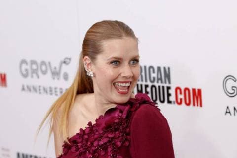 Amy Adams at the 31st Annual American Cinematheque Award Ceremony held at the Beverly Hilton in Beverly Hills, CA, November 10, 2017.  Copyright: xJosephxMartinezx 33473_005JM
