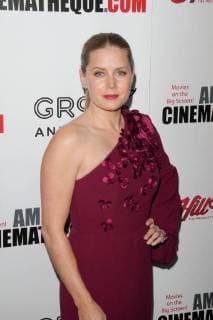 Amy Adams at the 31st Annual American Cinematheque Award Ceremony held at the Beverly Hilton in Beverly Hills, CA, November 10, 2017.  Copyright: xJosephxMartinezx 33473_025JM