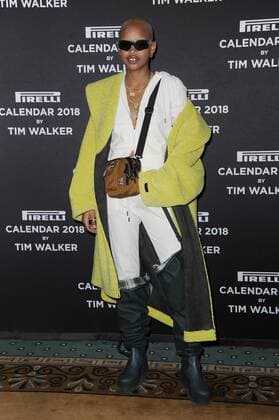 Pirelli Calendar by Tim Walker photocall Simone Thompson (Slick Woods) New York United States  560473