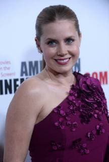 Actress Amy Adams arrives for the 31st annual American Cinematheque Awards annual gala at the Beverly Hilton Hotel in Beverly Hills, California on November 10, 2017. Adams was honored as an extraordinary artist in the entertainment industry currently making a significant contribution to the art of the moving picture.  LAP2017111006 JIMxRUYMEN