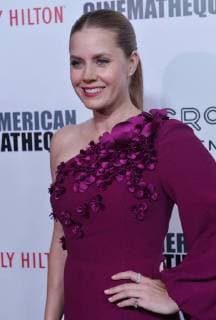 Actress Amy Adams arrives for the 31st annual American Cinematheque Awards annual gala at the Beverly Hilton Hotel in Beverly Hills, California on November 10, 2017. Adams was honored as an extraordinary artist in the entertainment industry currently making a significant contribution to the art of the moving picture.  LAP2017111013 JIMxRUYMEN
