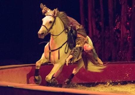 November 11, 2017 - Camarillo, California, USA - Cast members preform during the Cavalia Odysseo Celebrity Red Carpet Premiere under the White Big Top in Camarillo, California on November 11, 2017. Camarillo USA - ZUMAg139 20171111_zap_g139_004 Copyright: xDougxGiffordx