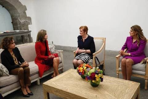 November 15, 2017 - Mexico Df, Mexico, Spain - Queen Letizia of Spain attends a meeting with Sanchia Aranda, President of The Union for International Cancer Control s (UICC)on November 14, 2017 in Mexico. Mexico Df Spain  - ZUMAg15_ 20171115_zaf_g15_003 Copyright: xJackxAbuinx