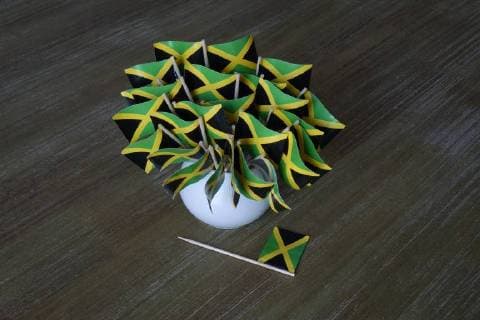 17 10 2017 in a Vessel Vase Vessel Flag Jamaica Coalition koalieren Jamaica coalition Colours Black Yellow Green Party Parties CDU CSU FDP the Greens Black Yellow Green