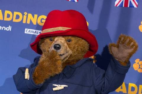 Paddington CELEBRITES Avant premiere du film Paddington 2 Paris 19 11 2017 StephenCaillet Panoramic 