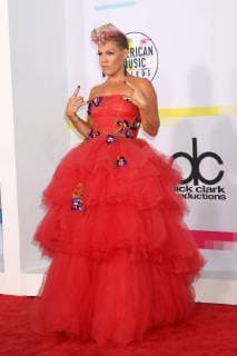 LOS ANGELES - NOV 19: Pink at the American Music Awards 2017 at Microsoft Theater on November 19, 2017 in Los Angeles, CA  Copyright: xKathyxHutchinsx xIPAx xHutchinsxPhotox