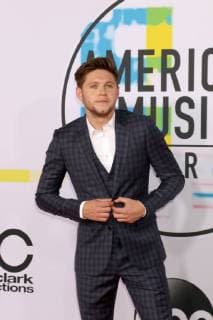 LOS ANGELES - NOV 19: Niall Horan at the American Music Awards 2017 at Microsoft Theater on November 19, 2017 in Los Angeles, CA  Copyright: xKathyxHutchinsx xIPAx xHutchinsxPhotox