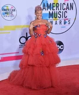 Pink arrives for the annual American Music Awards held at Microsoft Theater in Los Angeles, on November 19, 2017.  LAP20171119114 JIMxRUYMEN