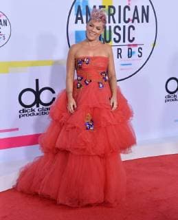 Pink arrives for the annual American Music Awards held at Microsoft Theater in Los Angeles, on November 19, 2017.  LAP20171119115 JIMxRUYMEN
