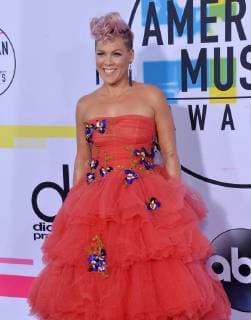 Pink arrives for the annual American Music Awards held at Microsoft Theater in Los Angeles, on November 19, 2017.  LAP20171119116 JIMxRUYMEN