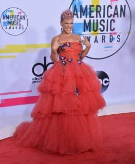 Pink arrives for the annual American Music Awards held at Microsoft Theater in Los Angeles, on November 19, 2017.  LAP20171119113 JIMxRUYMEN