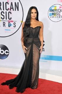 Demi Lovato at the Arrival to the American Music Awards at 19 11 2017 in Los Angeles 2017 American Music Awards in Los Angeles