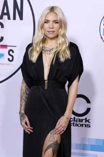 Skylar Grey at the award Ceremony the 44 American Music Awards in Microsoft Theatre Los Angeles 19 11 2017 Foto:xD.xBedrosianx xFuturexImage