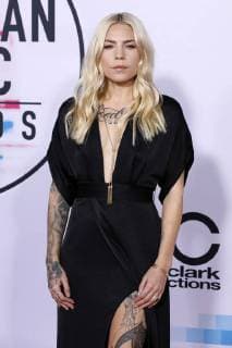 Skylar Grey at the award Ceremony the 44 American Music Awards in Microsoft Theatre Los Angeles 19 11 2017 Foto:xD.xBedrosianx xFuturexImage