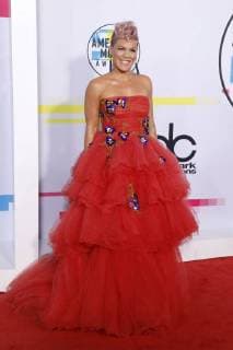 Pink at the award Ceremony the 44 American Music Awards in Microsoft Theatre Los Angeles 19 11 2017 Foto:xD.xBedrosianx xFuturexImage